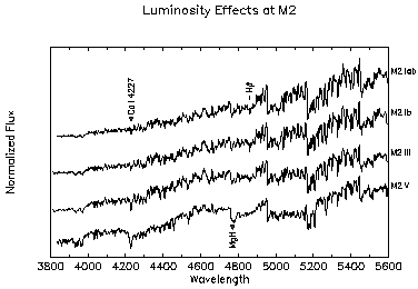 Figure 24